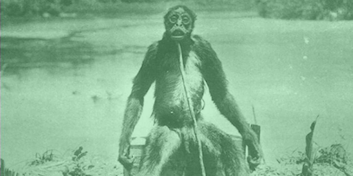 10 Lesser Known Cryptid Monsters That Have Been Debunked Wackoid