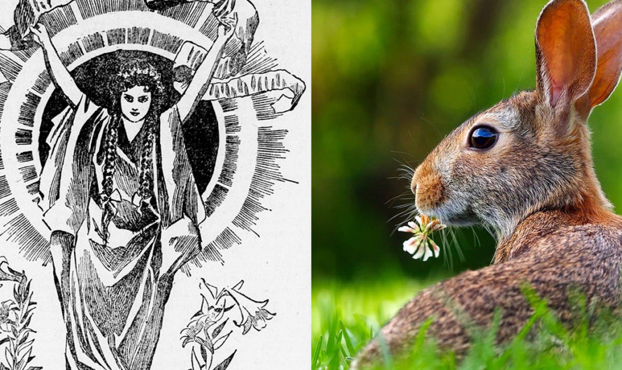 The Pagan Origins of the Easter Bunny
