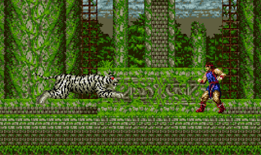 Jewel Master (Sega Genesis) Review